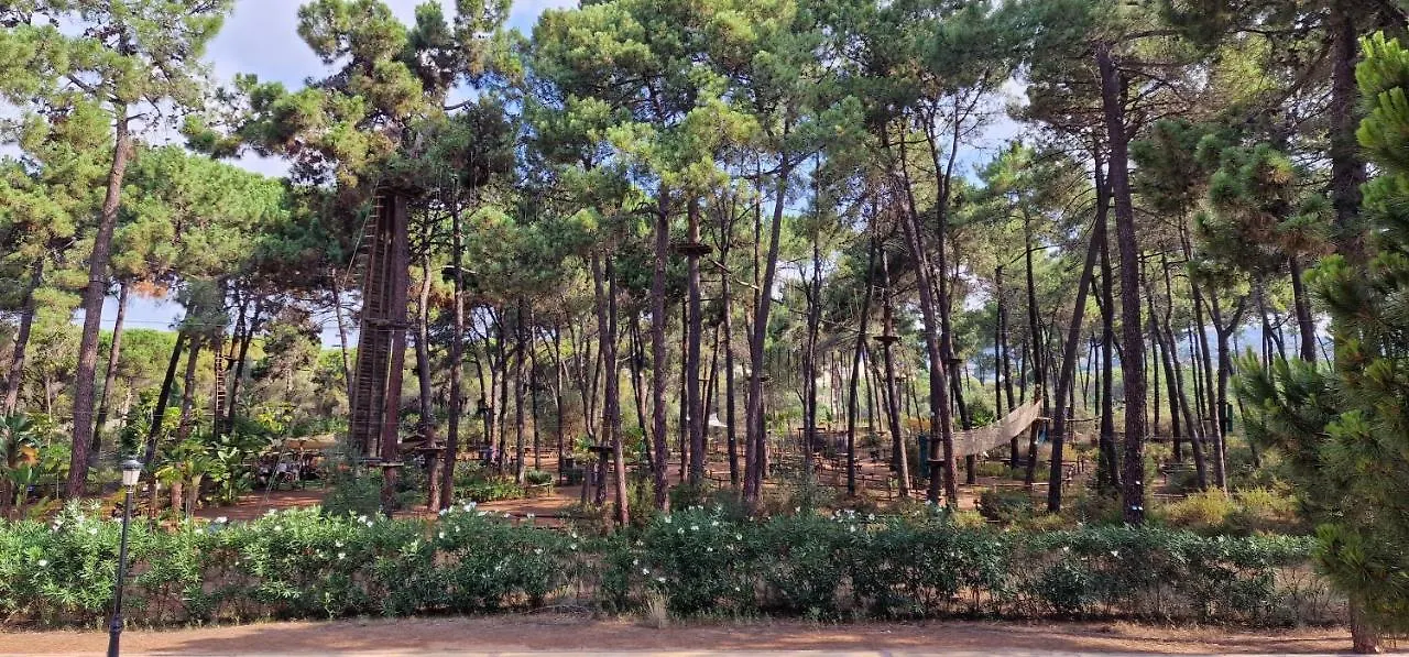 Sunny Apartment In Elviria Marbella